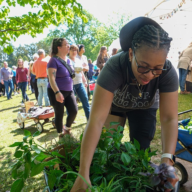 Hundreds of people attended this year’s Herbs Galore and More at the Carriage House Lawn at Maymont on April 29. The event featured more than 4,000 herbs ready to plant or grow indoors, along with ginger-related merchandise.