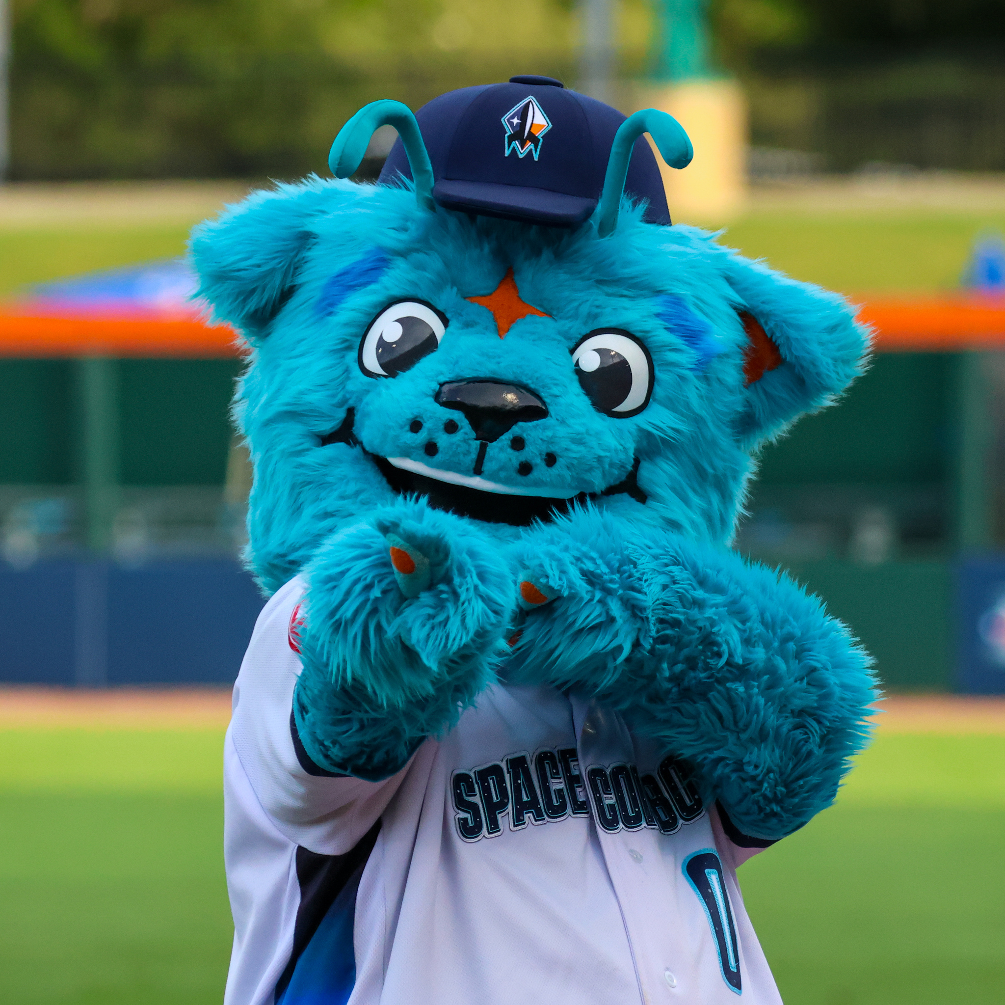 The Toronto Blue Jays are - Sugar's Mascot Costumes