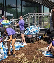 volunteers working at Child Safe