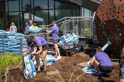 volunteers working at Child Safe