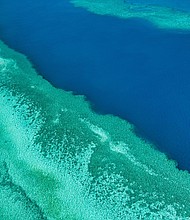 The Great Barrier Reef stretches thousands of kilometers up the coast of Queensland.
Mandatory Credit:	Gagliardi Giovanni/REDA&CO/Universal Images Group/Getty Images