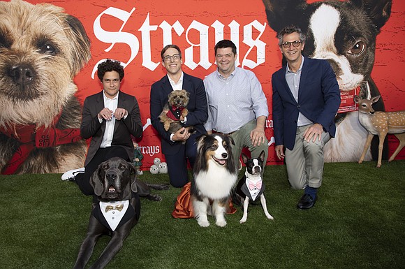 Hold onto your leashes—last night’s Strays special screening was a fur-filled frenzy! Our film’s badass canine crew—Reggie, Bug, Maggie and ...