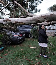 Maura Taura surveys the damaged cause by a downed tree outside her home.
Mandatory Credit:	Marcio Jose Sanchez/AP
