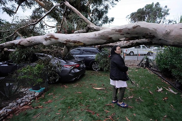 Maura Taura surveys the damaged cause by a downed tree outside her home.
Mandatory Credit:	Marcio Jose Sanchez/AP