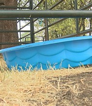 The site for the Sutherlin Rodeo is no acting as a shelter for evacuated families and their animals including livestock.
Mandatory Credit:	KEZI