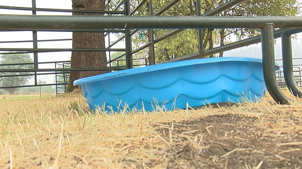 The site for the Sutherlin Rodeo is no acting as a shelter for evacuated families and their animals including livestock.
Mandatory Credit:	KEZI
