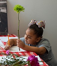 Photo credits: Larry Geiger (LGP) and Owen Gray (OGS)