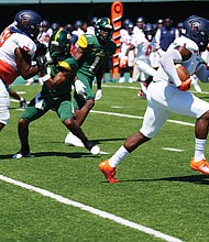 Virginia State University running back Upton “Juice” Bailey rushes for yards during the game against Norfolk State University last Saturday.