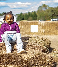 Zuri Grant, 4, tackles a giant haystack while visiting Gallmeyer Farms on Millers Lane in Henrico County with her mother, Briana Brockington, on Oct. 21.