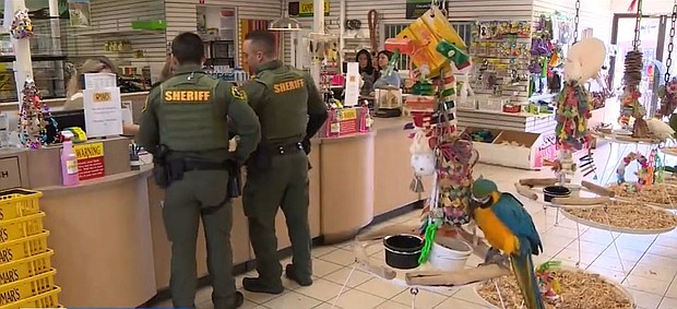 Orange County deputies are searching for the balding thief who stole an exotic gray bird from Omar's Exotic Birds.
Mandatory Credit:	KCAL