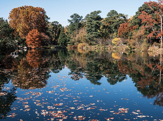 Reflections at Lewis Ginter Botanical Garden