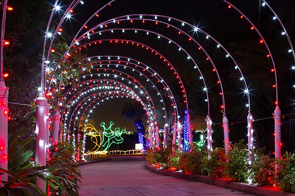 Embark on a magical journey at Moody Gardens' Holiday in the Gardens with enchanting Theme Nights.