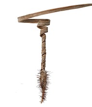 This seed carrier could help reforest the most remote areas
Caption:	The seed carrier is made from treated white oak wood.
Mandatory Credit:	Morphing Matter Lab
Dateline:	File
Restriction:	**This image is for use with this specific article only**