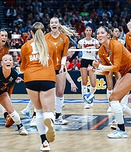 Texas Volleyball players celebrate on the court