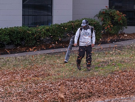 By now, the drudgery of leaf blowing should be a thing of the past for many in the Richmond area. Yet errant clusters of leaves continue to fall such as the ones to recently covering the ground at 5th and Hospital streets.