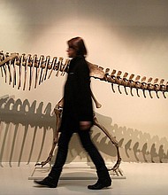 Today, paleontologists believe that Megalosaurus would have walked on two legs.
Mandatory Credit:	Julien Behal/PA Wire/AP