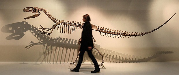 Today, paleontologists believe that Megalosaurus would have walked on two legs.
Mandatory Credit:	Julien Behal/PA Wire/AP