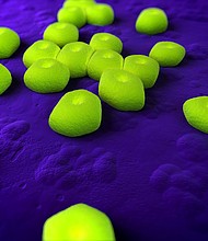 Researchers from Harvard University and Hoffmann-La Roche say they have developed an antibiotic to treat the highly resistant bacteria Acinetobacter baumannii.
Mandatory Credit: