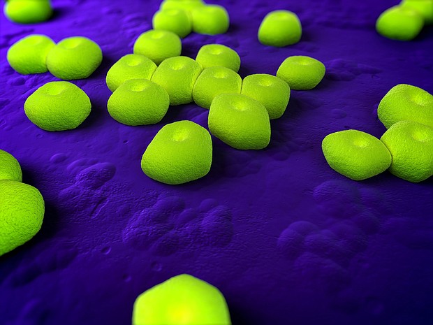 Researchers from Harvard University and Hoffmann-La Roche say they have developed an antibiotic to treat the highly resistant bacteria Acinetobacter baumannii.
Mandatory Credit: