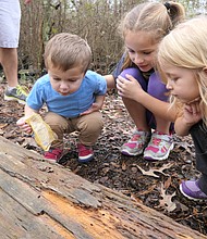 Courtesy of Houston Arboretum