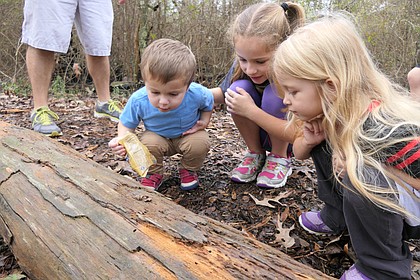 Courtesy of Houston Arboretum