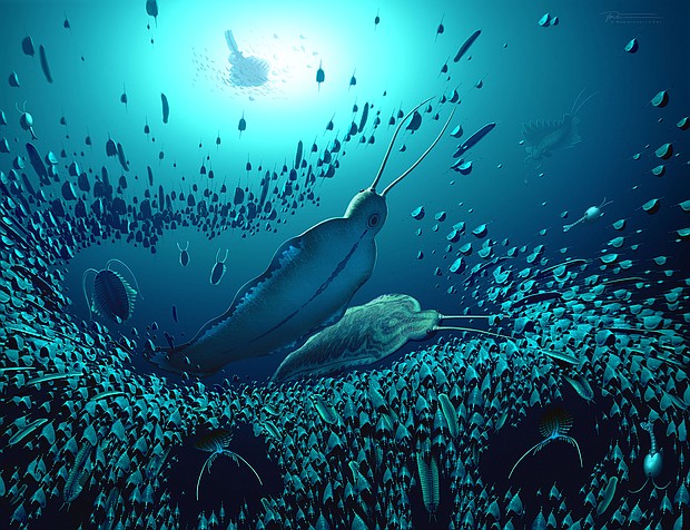 An artist's illustration shows giant predator worms swimming in an ancient sea.
Mandatory Credit:	Artwork by Bob Nicholls/@BobNichollsArt