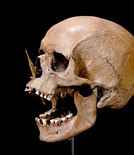 The researchers sequenced DNA from human remains in museum collections around Europe.
Mandatory Credit:	The Danish National Museum