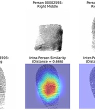 The system used in the study to identify similarities among fingerprints could be useful in crime scene analysis, the authors said.
Mandatory Credit:	Gabe Guo/Columbia Engineering