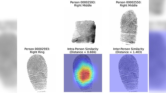 “Do you think that every fingerprint is actually unique?”