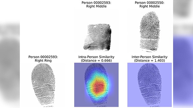 The system used in the study to identify similarities among fingerprints could be useful in crime scene analysis, the authors said.
Mandatory Credit:	Gabe Guo/Columbia Engineering