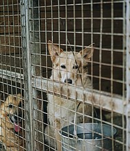 Photo by Sasha Sashina on Unsplash