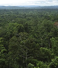 The cities were found in the Upano Valley of Amazonian Ecuador, in the eastern foothills of the Andes.
Mandatory Credit:	Majority World/Universal Images Group/Getty Images