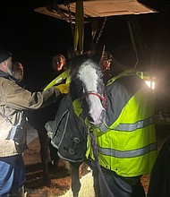 Firefighters and school staff rescued a horse stuck in the snow in Pomfret, Connecticut.
Mandatory Credit:	WFSB