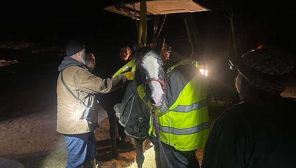 Firefighters pulled a horse to safety after it became stuck in snow in Pomfret, Conn.