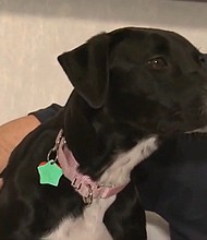 Lucy survived eight days in the cold.
Mandatory Credit:	WISN