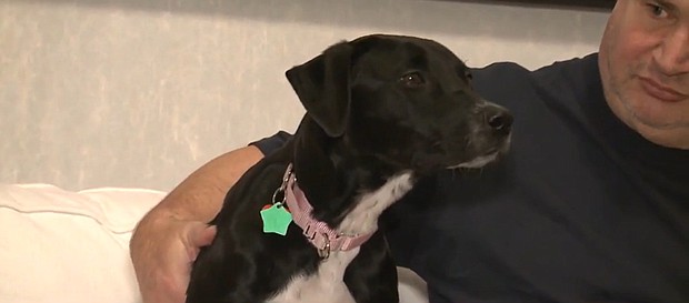 Lucy survived eight days in the cold.
Mandatory Credit:	WISN