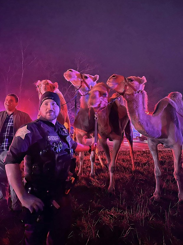 Animals including camels and zebras were rescued from a truck fire on an Indiana interstate Saturday morning.
Mandatory Credit:	Grant County Sheriff's Office