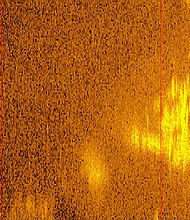 A deep-sea exploration company has captured a sonar image of an anomaly on the ocean floor that resembles an aircraft. The team believes the aircraft could be Amelia Earhart's Lockheed 10-E Electra that went missing nearly 87 years ago.
Mandatory Credit:	Deep Sea Vision/PR Newswire