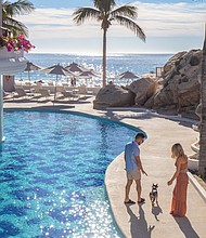 Mar del Cabo Pampered Pooch Package