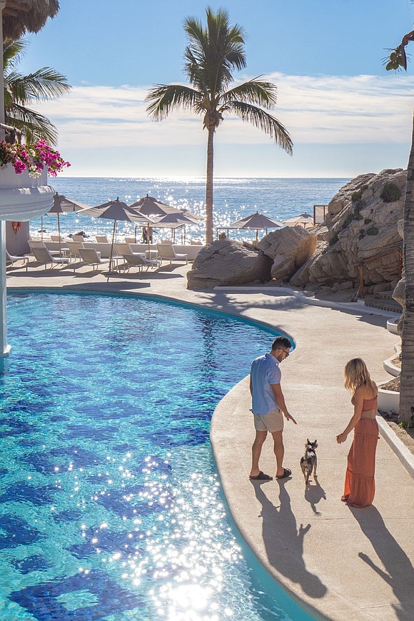 Mar del Cabo by Velas Resorts redefines luxury pet travel with their 'Pampered Pooch Package'.