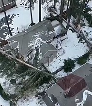 After watching hundreds of trees come crashing down during the January storms, Portland area arborists are warning homeowners not to let fear lead to quick decisions, like hiring a tree removal service.
Mandatory Credit:	KPTV