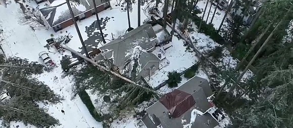 After watching hundreds of trees come crashing down during the January storms, Portland area arborists are warning homeowners not to …