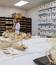 Photo credit: Jeff Fitlow/Rice University