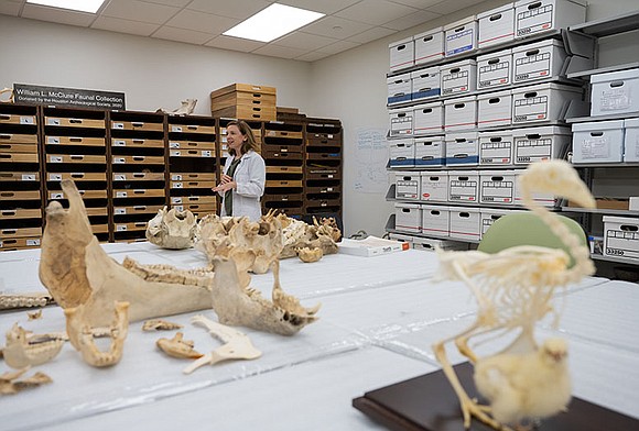 Delve into the mysteries of the past as Rice University transforms into a hub of archaeological discovery at the upcoming …