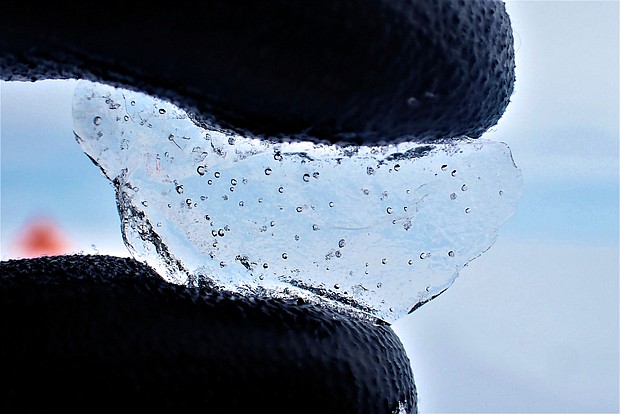 A scientist holds a piece of ice core drilled from West Antarctica, showing the air bubbles trapped within.
Mandatory Credit:	University of Cambridge/British Antarctic Survey