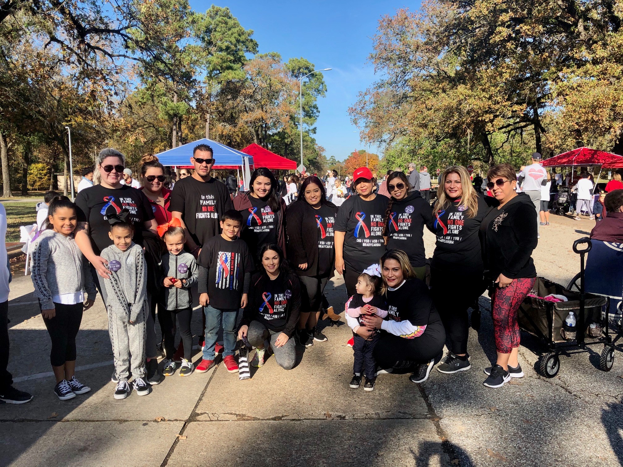 Join the 2024 Houston Walk for 1 in 100 to Support Congenital Heart Disease Research