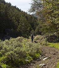 About 90% of Lyme disease cases in the US are reported from 15 high-incidence jurisdictions in the Northeast, mid-Atlantic and upper-Midwest regions, according to the CDC.
Mandatory Credit:	Cavan Images/Getty Images