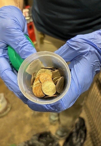 A total of 70 metal coins were found inside Thibodaux, a 36-year-old alligator, according to the Henry Doorly Zoo and Aquarium.
Mandatory Credit: