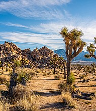 Beguiling Joshua trees and intriguing rock formations helped draw millions of vistoris to Joshua Tree National Park in Southern California in 2023.
Mandatory Credit:	yongyuan/iStockphoto/Getty Images via CNN Newsource