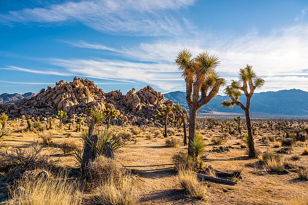 Beguiling Joshua trees and intriguing rock formations helped draw millions of vistoris to Joshua Tree National Park in Southern California in 2023.
Mandatory Credit:	yongyuan/iStockphoto/Getty Images via CNN Newsource
